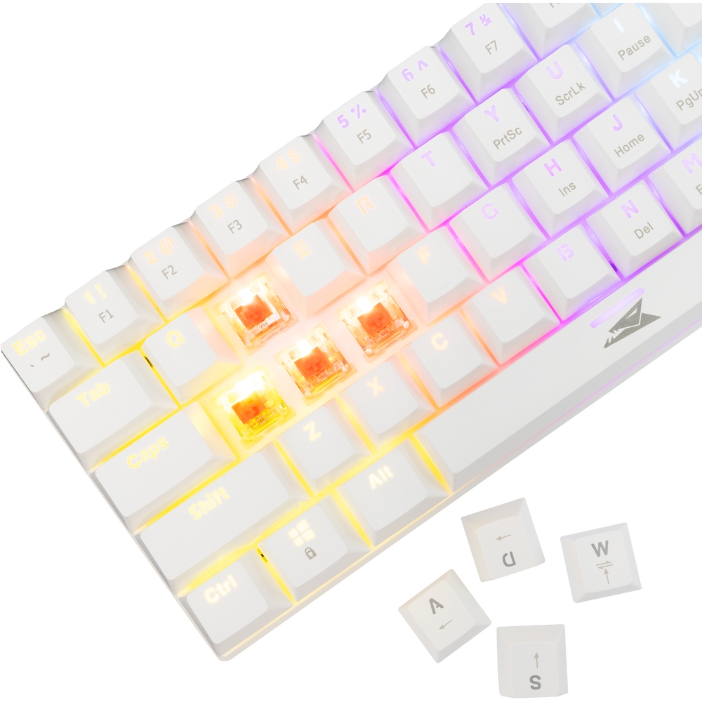 Podświetlenie RGB klawiatura Baracuda DOLPHIN biała